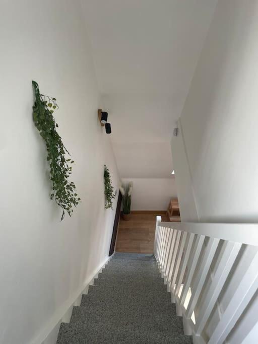 Appartamento Duplex Bord De L'Eure - Parking Inclus - Jolie Vue Sur La Cathedrale Chartres Esterno foto